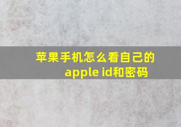 苹果手机怎么看自己的apple id和密码